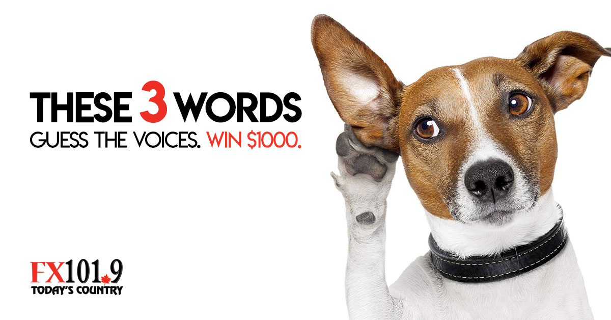 these-3-words-fx